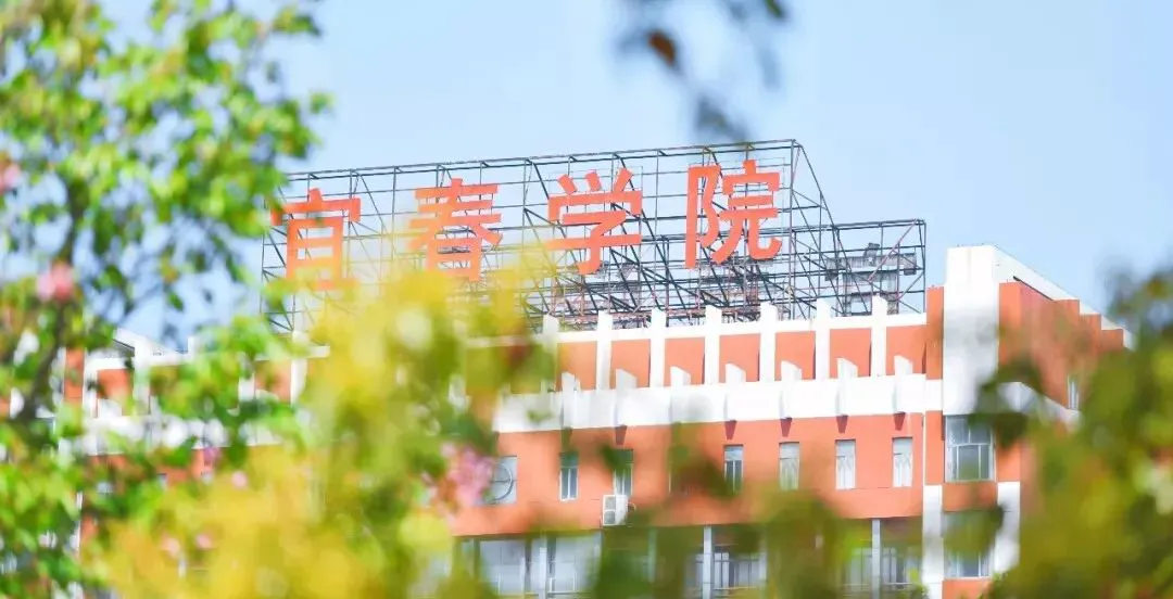 篮球教练如何制定总决赛的长期发展计划_2